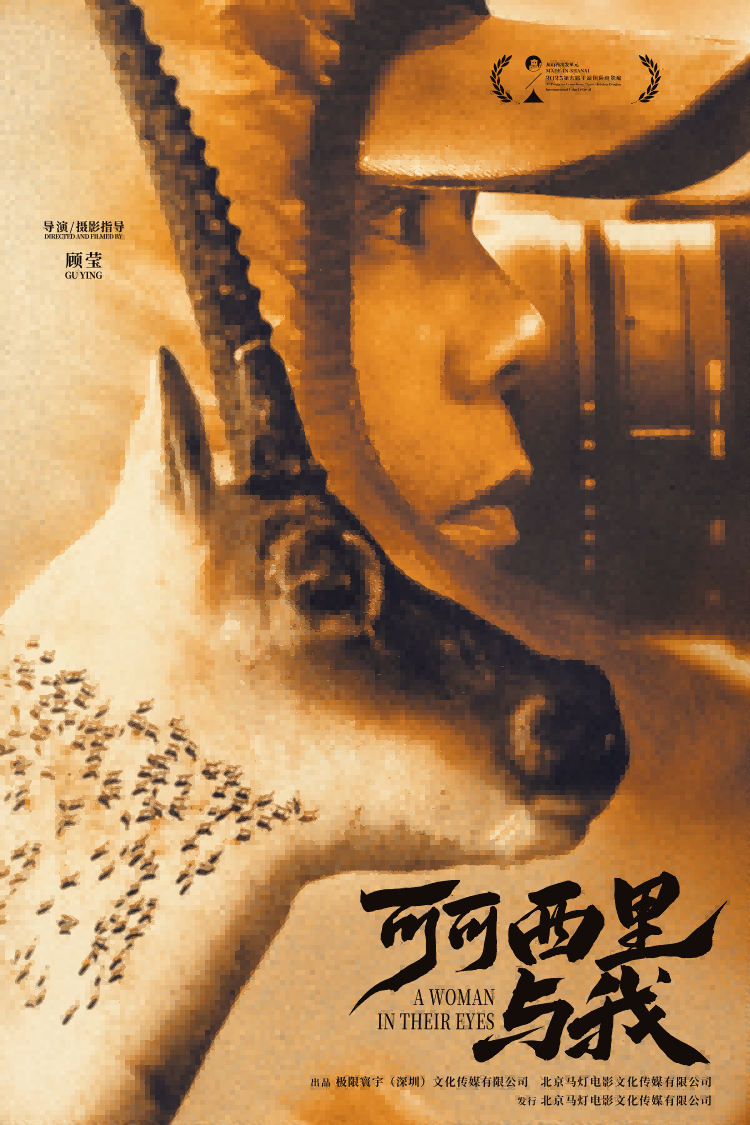 A WOMAN IN THEIR EYES poster